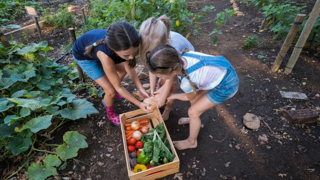 organic vegetable gardening