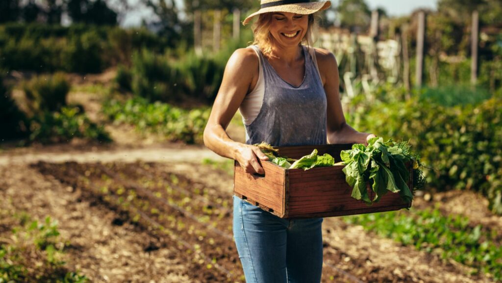 indoor apartment vegetable gardening