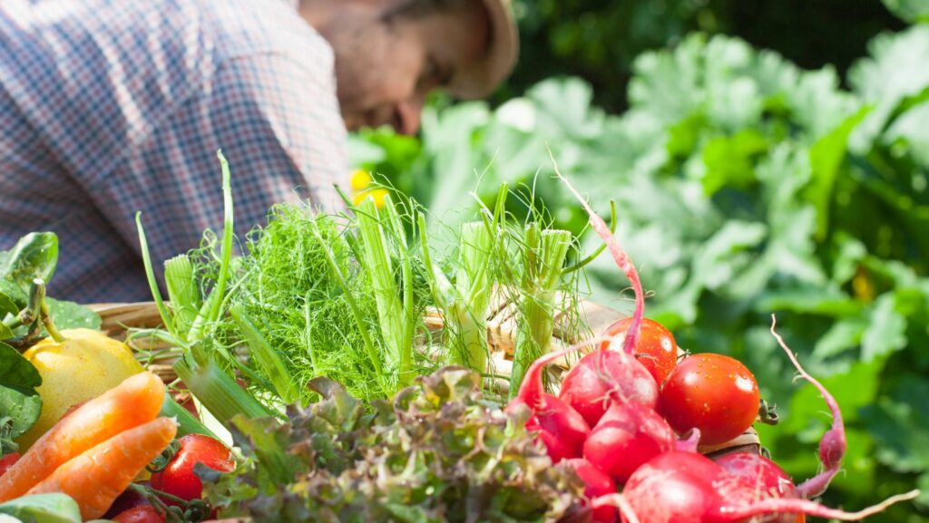 small space vegetable gardening