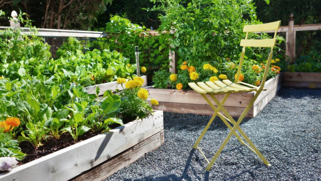 vegetable gardening greenhouse