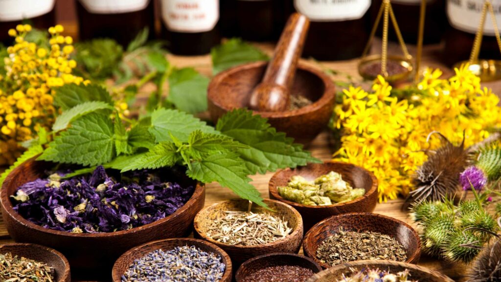 natural herbs for nerve regeneration